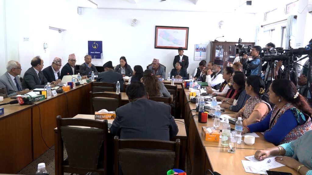 संघीय संसदमा व्यस्त दिन: एकैदिन आठवटा समितिको बैठक